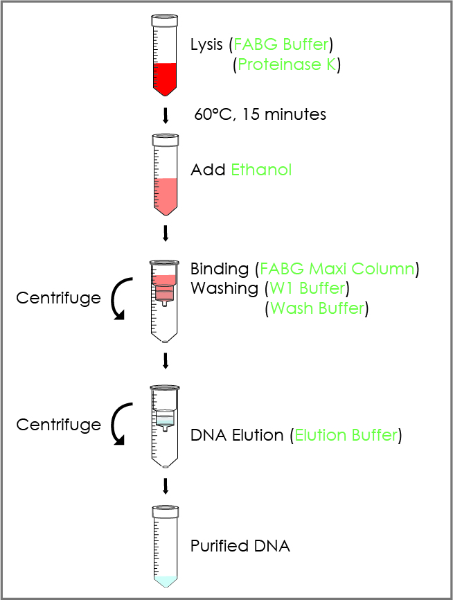 FABGK 000 Maxi 003 003-1_Flow Chart