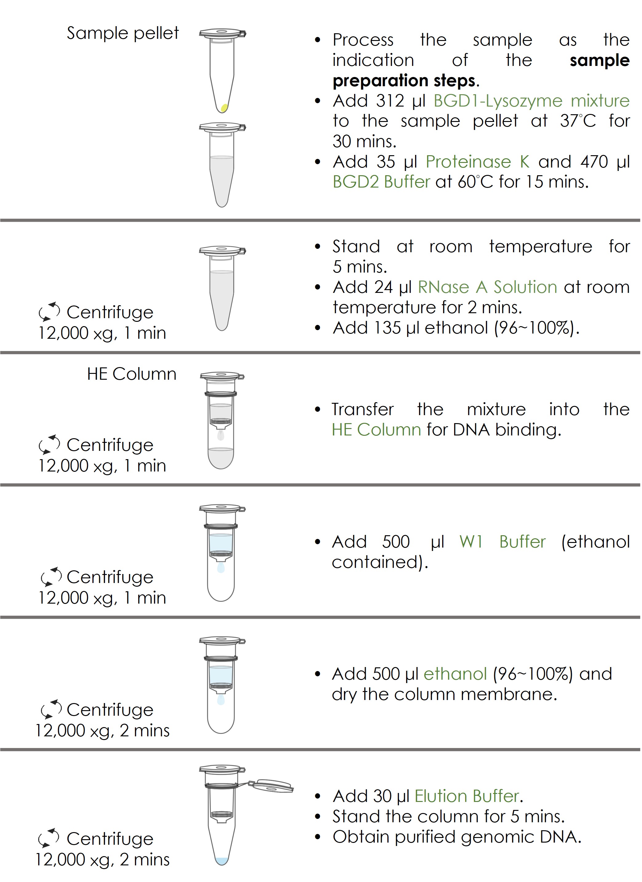 FABD103 Flow Chart_v202505