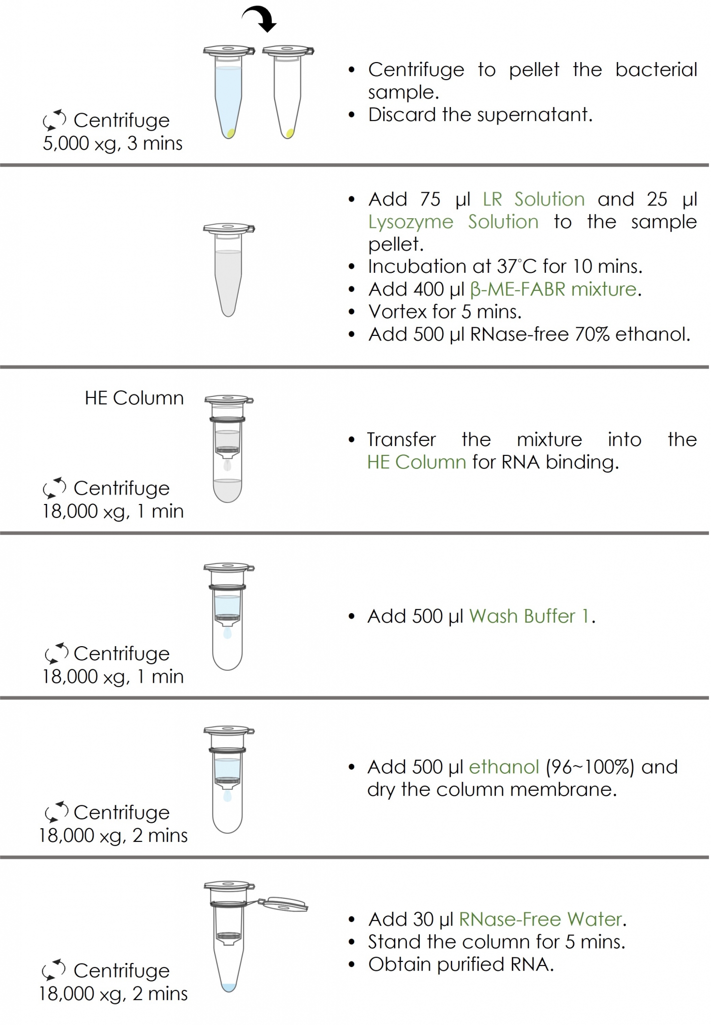 FABR303 Flow Chart_v202505