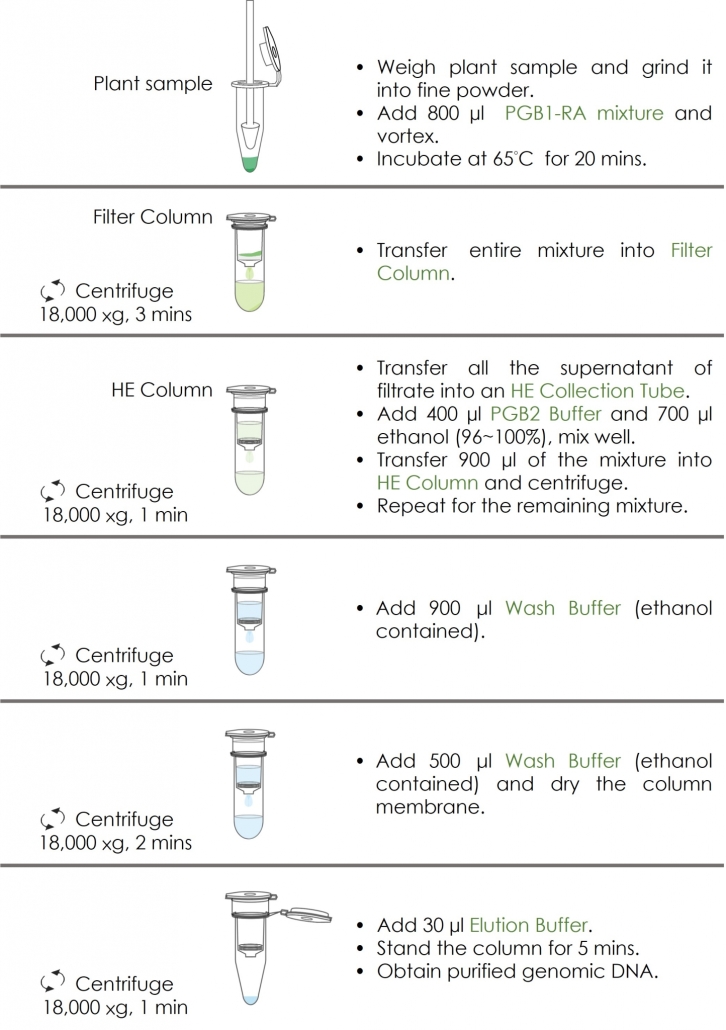 FAPG103 Flow Chart v202506