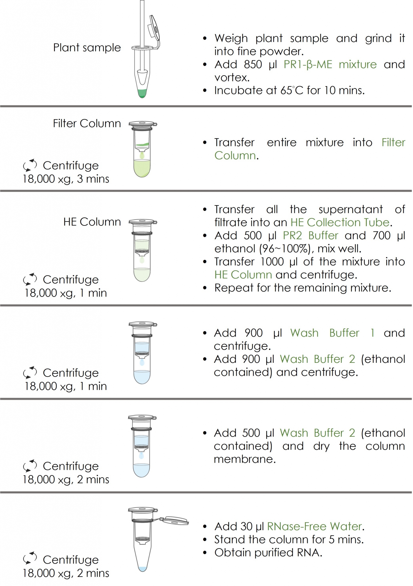 FAPR103 Flow Chart 202508